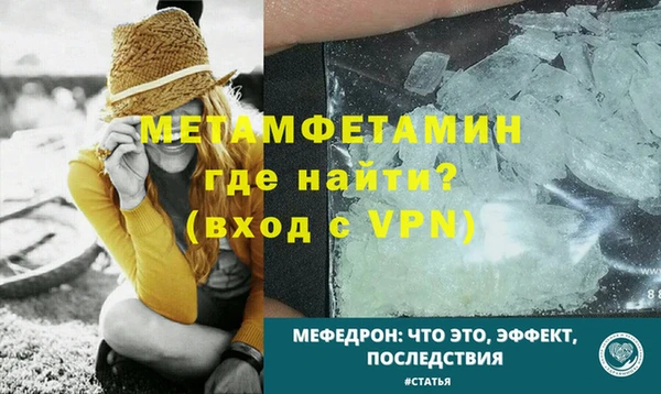 гидра Володарск