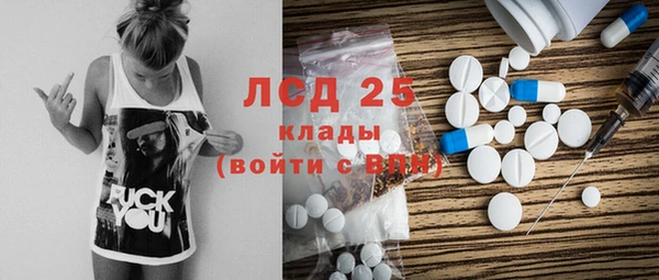 гидра Володарск