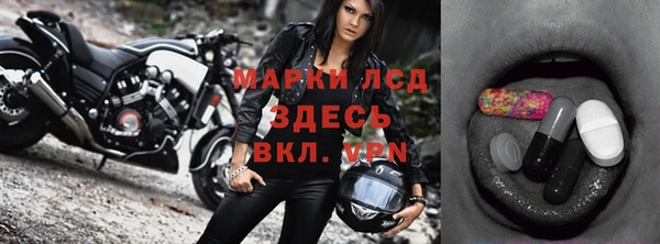 гидра Володарск