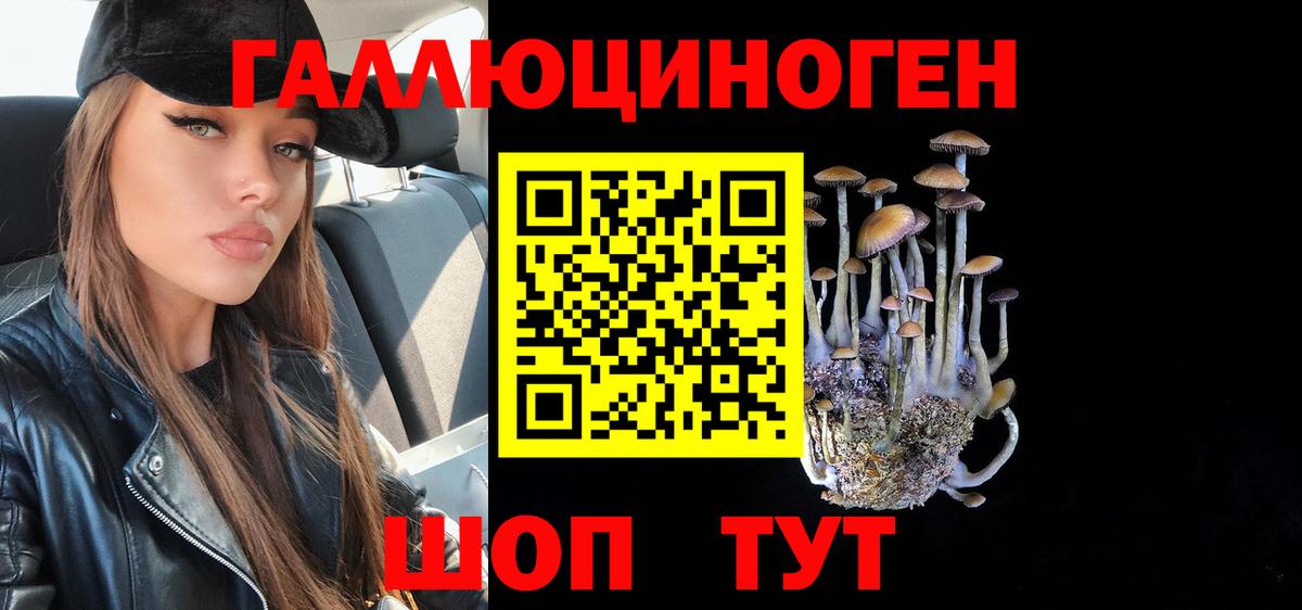 Псилоцибиновые грибы Magic Shrooms  Вход с VPN  Славянск-на-Кубани 