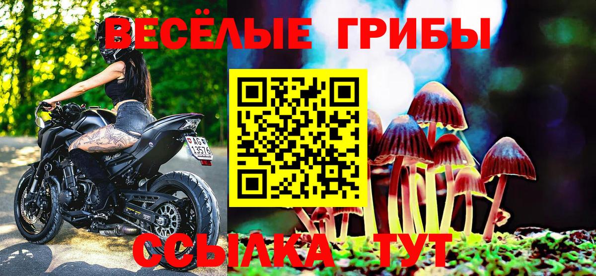 Псилоцибиновые грибы Cubensis Славянск-на-Кубани